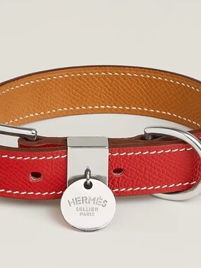 Hermès Leather Dog Collar — Red with White Inlay, Palladium Hardware